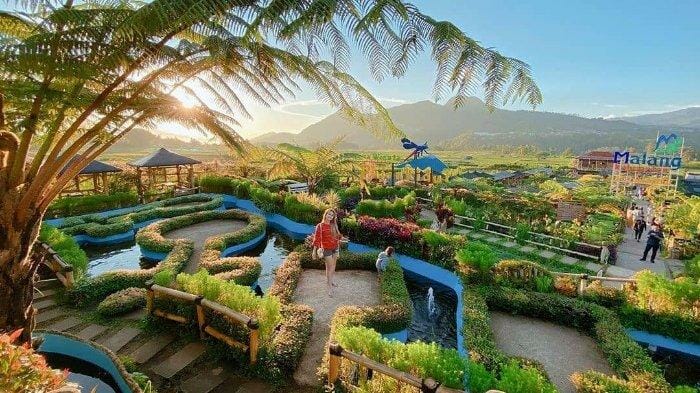 wisata cafe sawah malang
