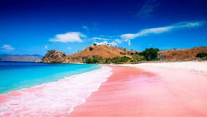 Pantai Pink