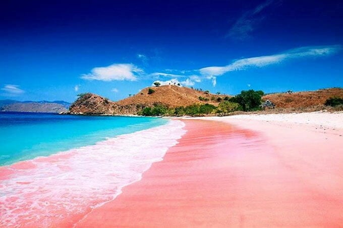 pantai pink