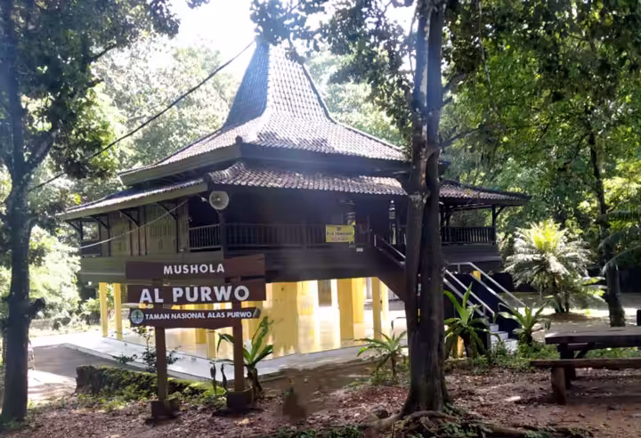 Fasilitas Alas Purwo