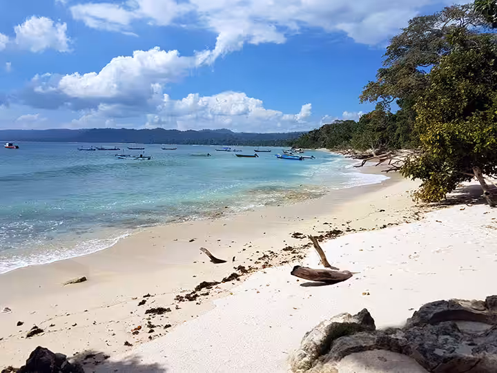 Camping di Pantai Alas Purwo