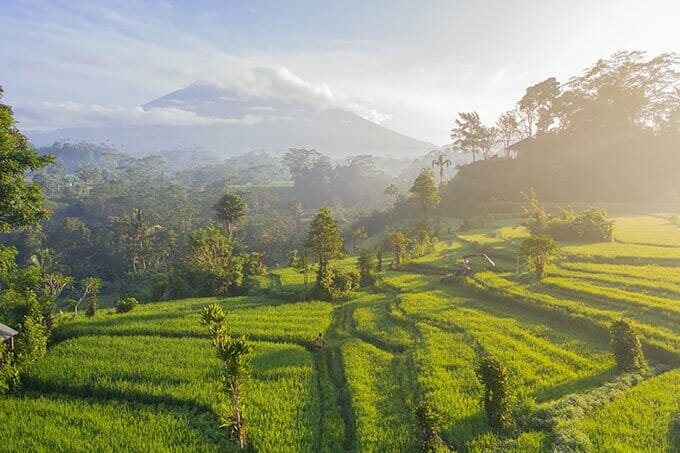 Ubud