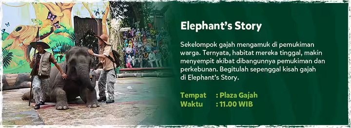 Elephant’s Story