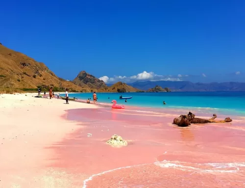 Pantai Pink Lombok