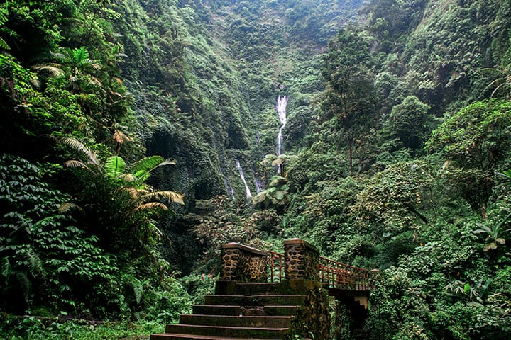 Rute Menuju Air Terjun Madakaripura