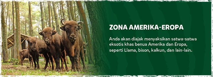 Zona Amerika Eropa