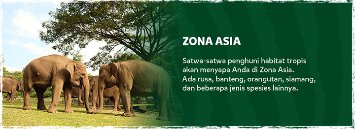 Zona Asia