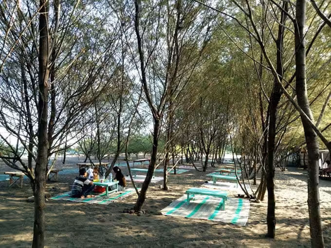 pantai cemara banyuwangi