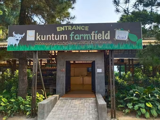 Kuntum Farmfield