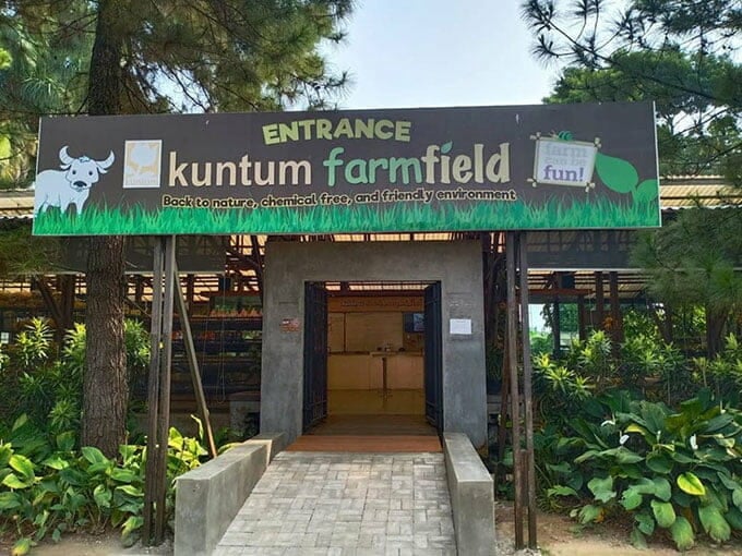 Kuntum Farmfield