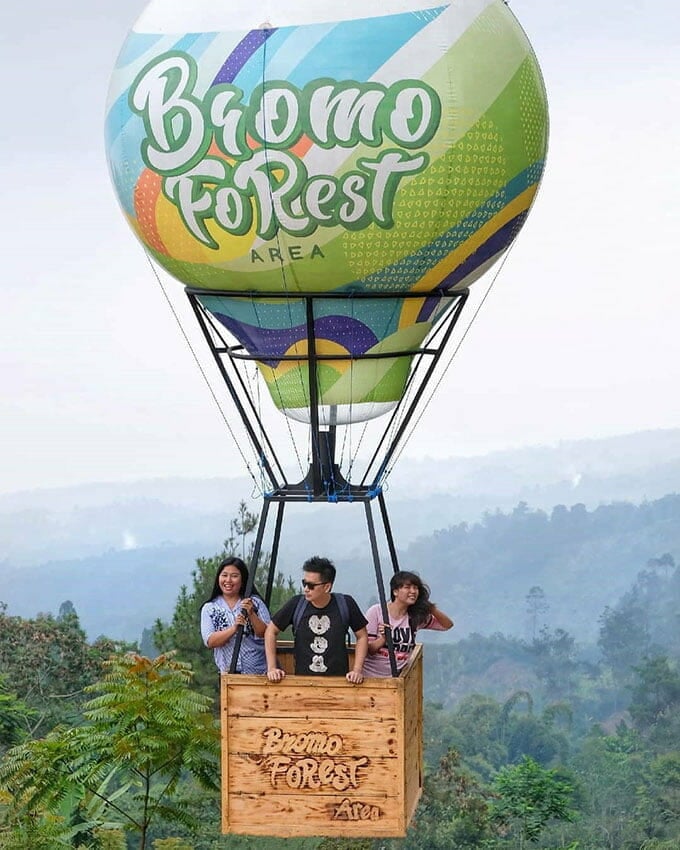 bromo forest area