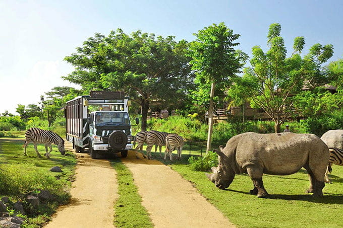 Bali Safari Marine Park
