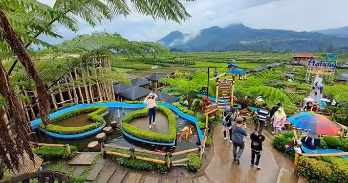 Daya Tarik Cafe Sawah