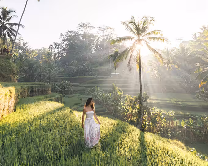 Foto Tegalalang Rice Terrace
