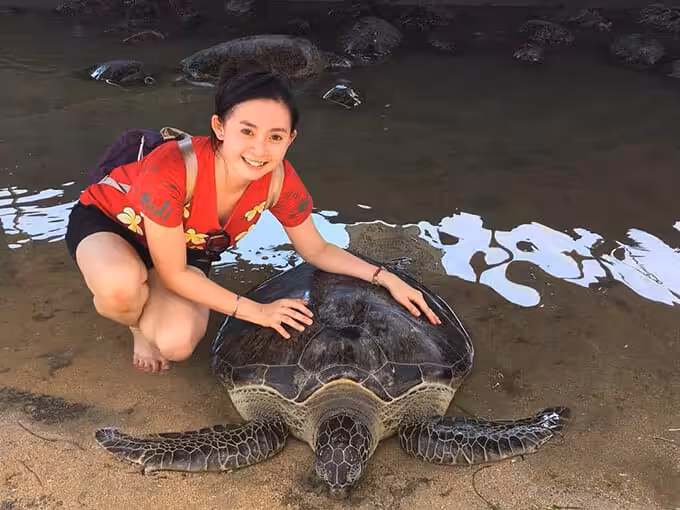 Pulau Penyu Tanjung Benoa