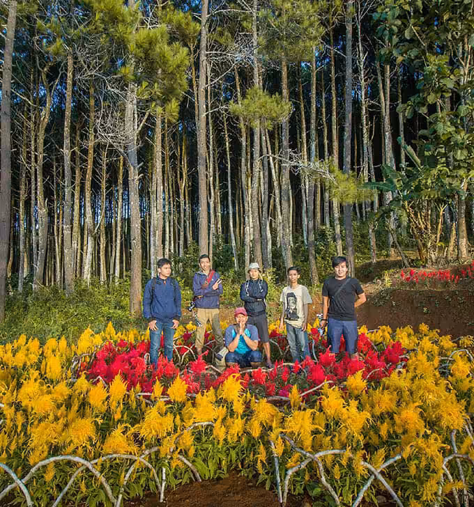 Taman Bunga Hutan Pinus Mangunan