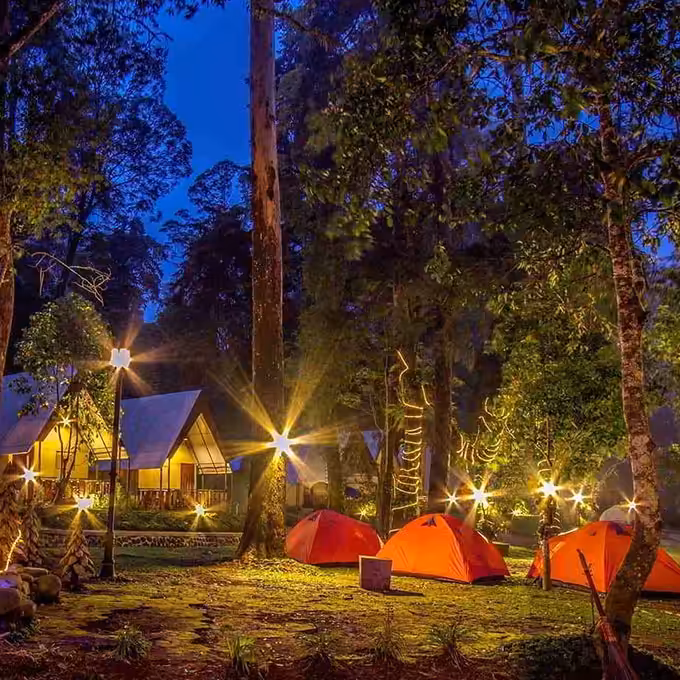 Camping di Mojosemi Forest Park