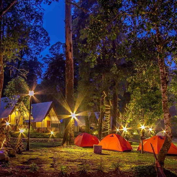 Camping di Mojosemi Forest Park
