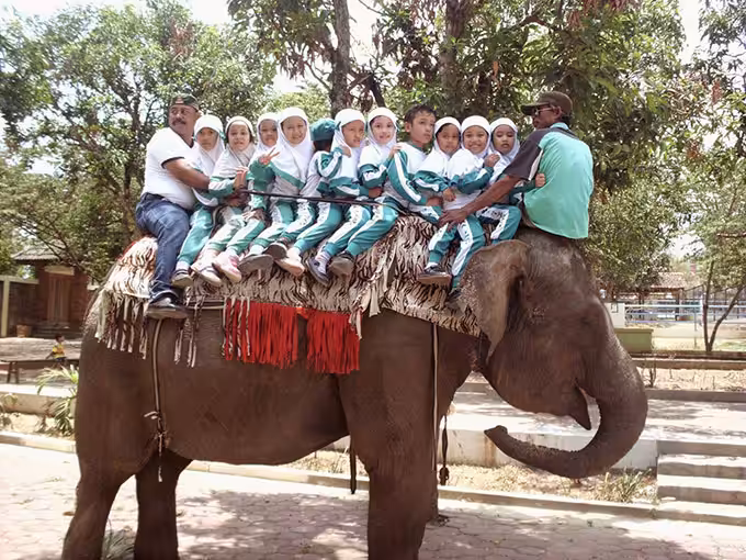 foto kebun binatang semarang 