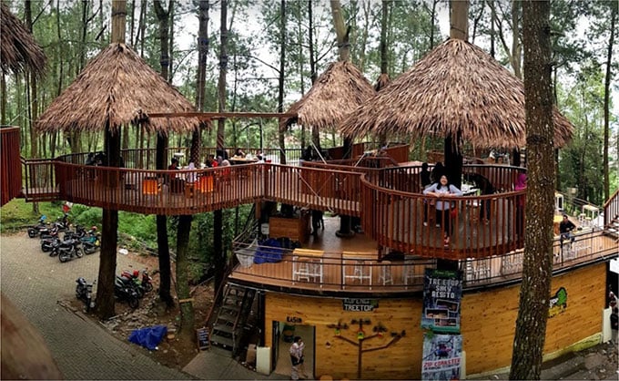 kopeng treetop adventure park