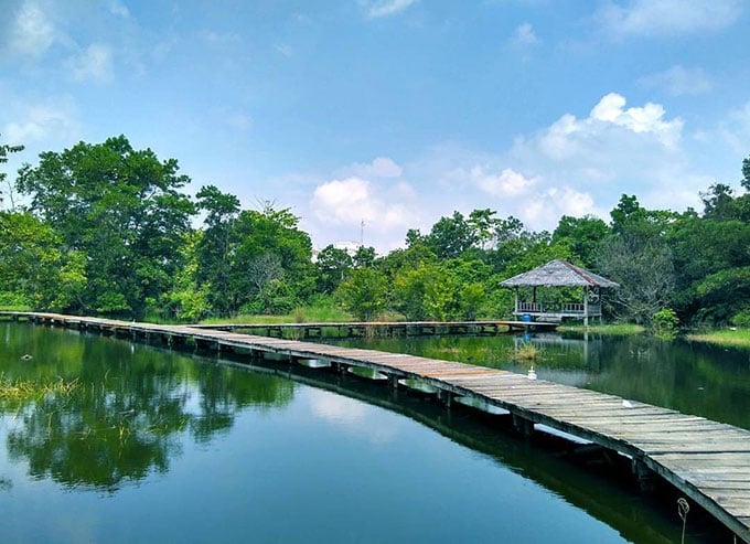 Arboretum Universitas Riau