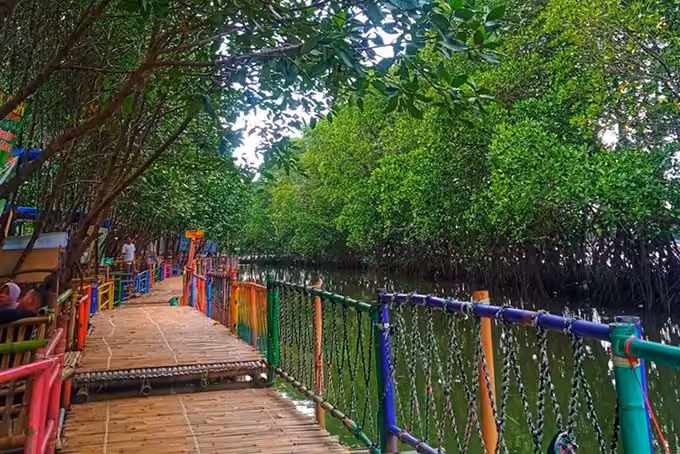 Ekowisata Mangrove Muara Gembong