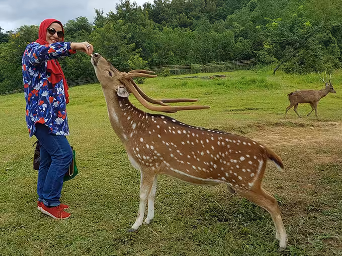 Penangkaran Rusa Giri Jaya