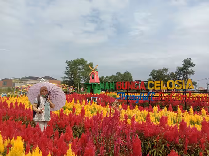 Taman Celosia Spring Hill Palembang