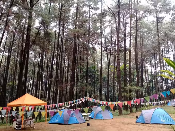 Taman Wisata Alam Gunung Pancar