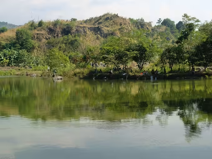 Wanawisata Ciwaringin