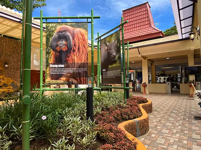 Daya Tarik Kebun Binatang Surabaya