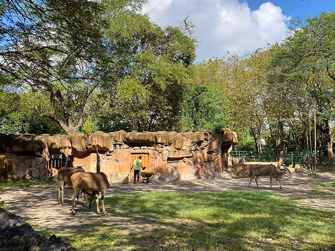 Fasilitas di Kebun Binatang Surabaya