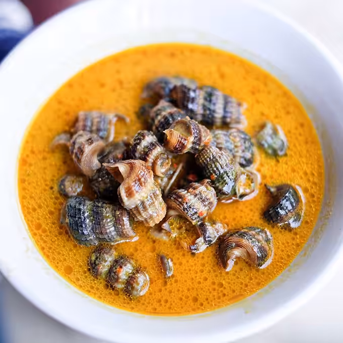 Gulai Siput