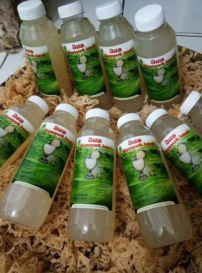 Jus Rumput Laut