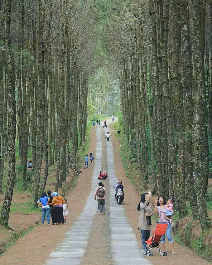 Top Selfie Pinusan Kragilan