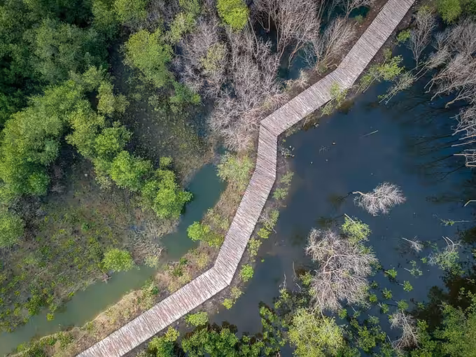 Wisata Mangrove Gunung Anyar