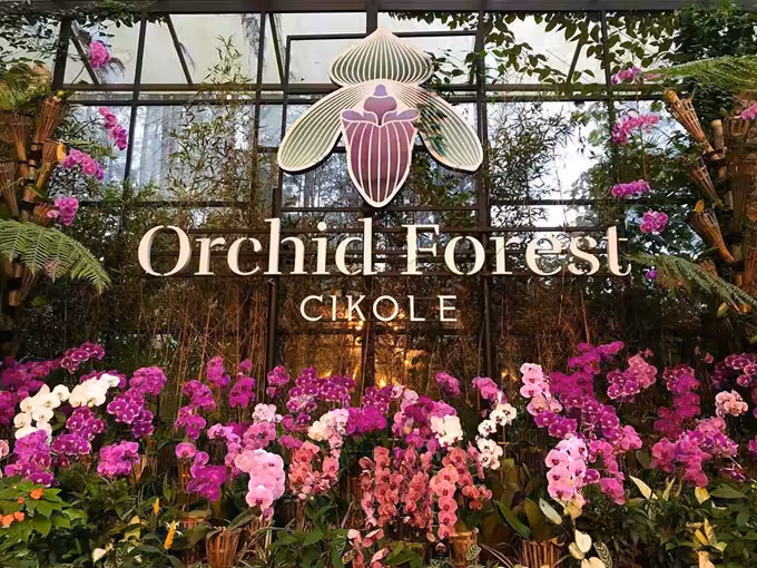 Orchid Forest Cikole Lembang