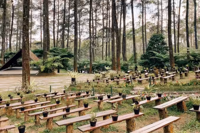 Orchid Forest Cikole