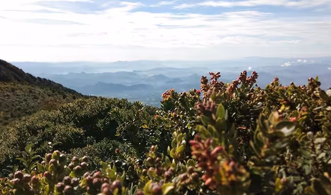 Daya Tarik Gunung Marapi