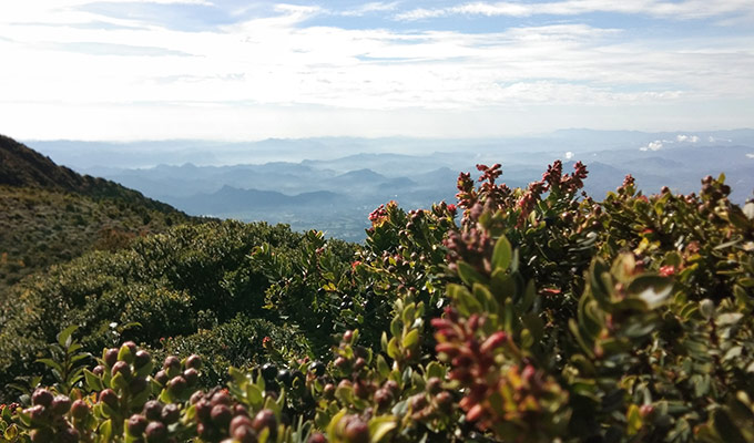 Daya Tarik Gunung Marapi