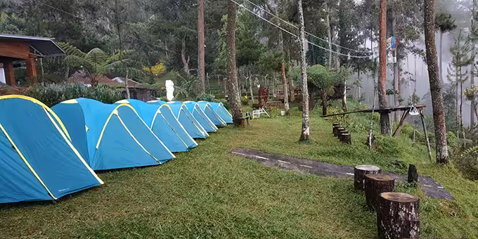 Fasilitas Tenggir Park