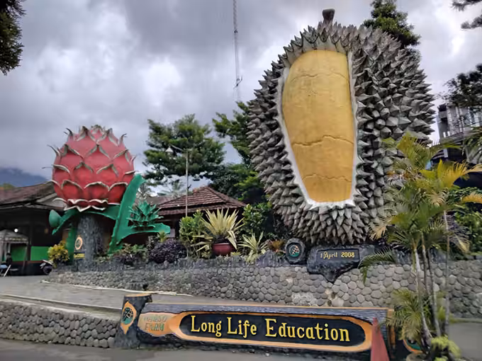 Kebun Durian Warso Farm
