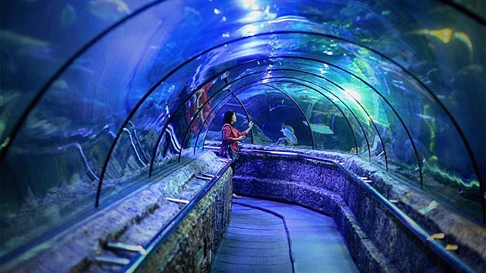 Lokasi Sea World