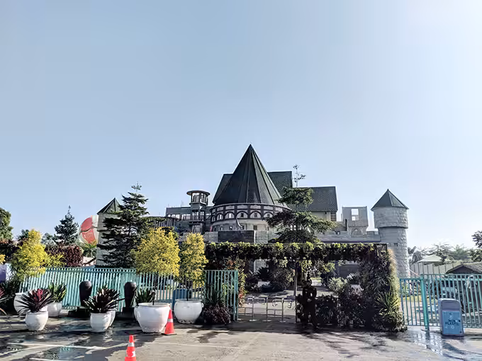 Taman Begonia Fairy Garden