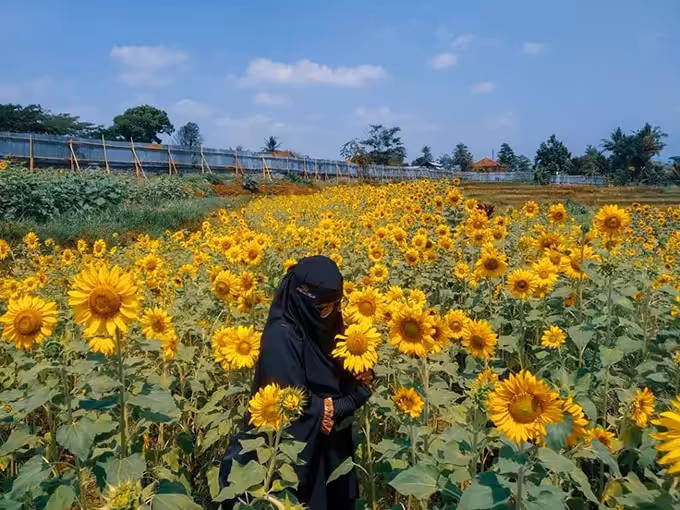 taman wisata matahari bogor
