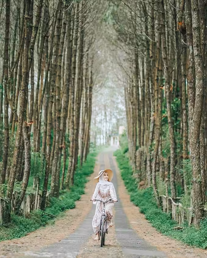 Top Selfie Hutan Pinus Kragilan