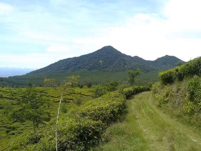 Jalan Pendakian Gunung Burangrang