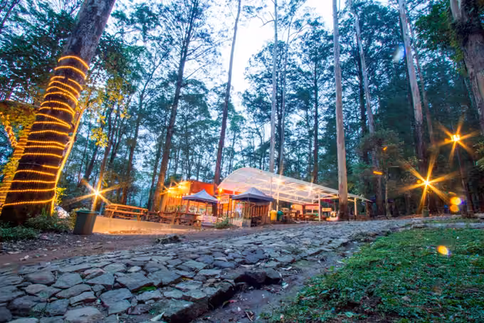 mojosemi forest park tawangmangu