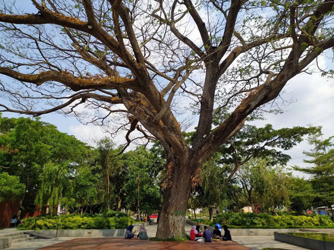 taman sekartaji kediri