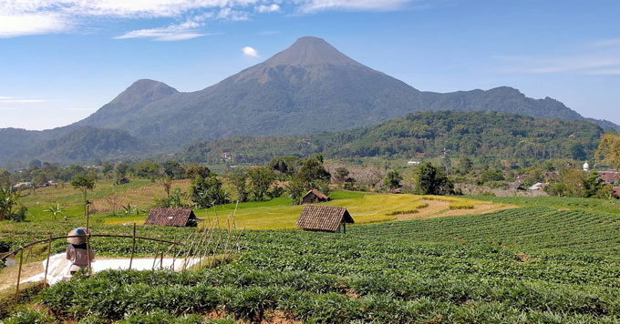 Gunung Penanggungan